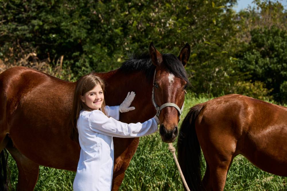 Aula de Medicina Veterinária
